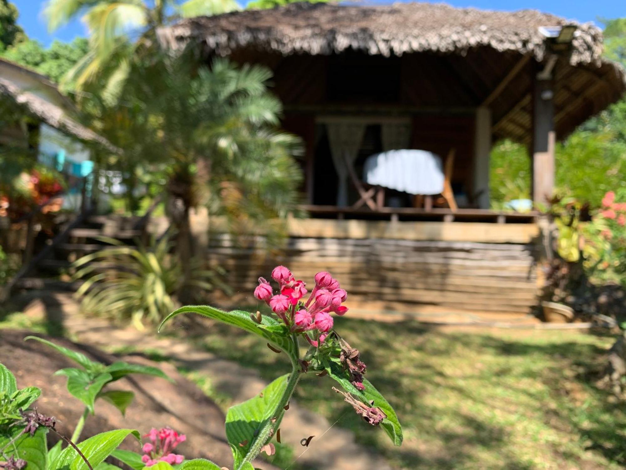 Bed and Breakfast Les Jardins D'Ankify Andimaka Exteriér fotografie