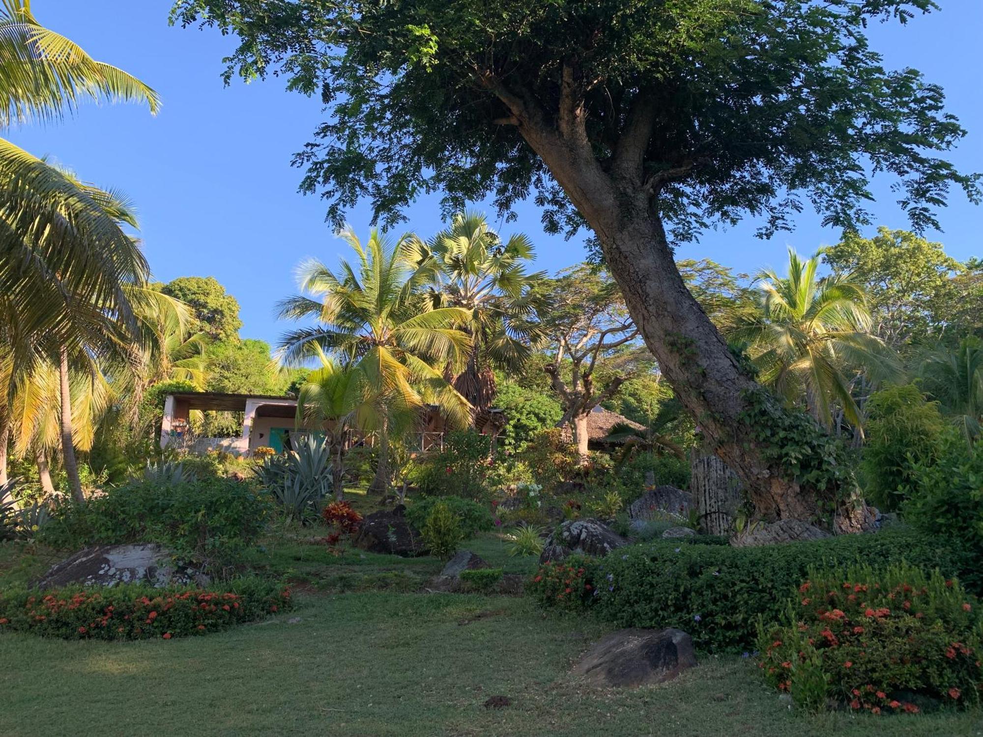 Bed and Breakfast Les Jardins D'Ankify Andimaka Exteriér fotografie