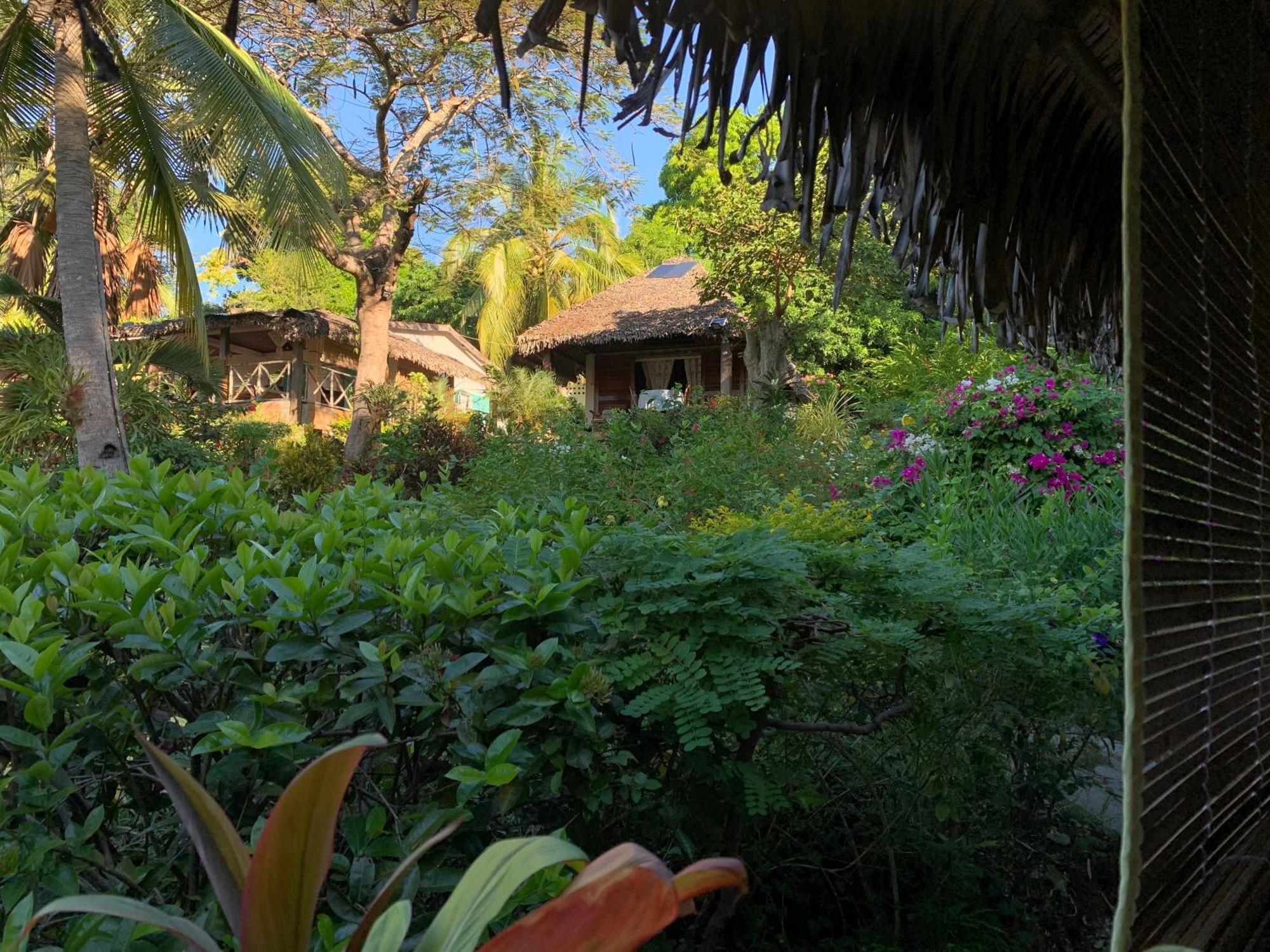 Bed and Breakfast Les Jardins D'Ankify Andimaka Exteriér fotografie