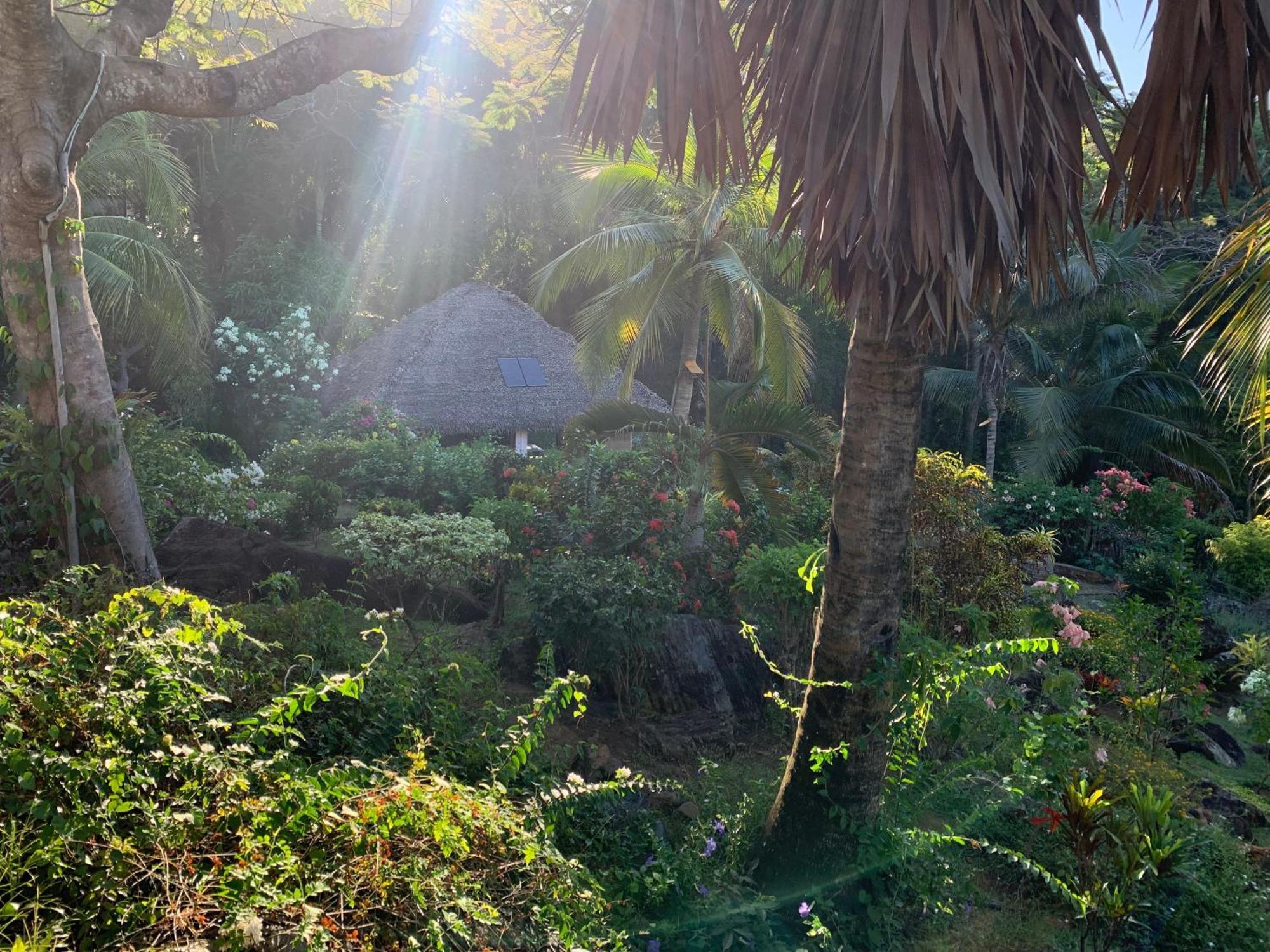 Bed and Breakfast Les Jardins D'Ankify Andimaka Exteriér fotografie