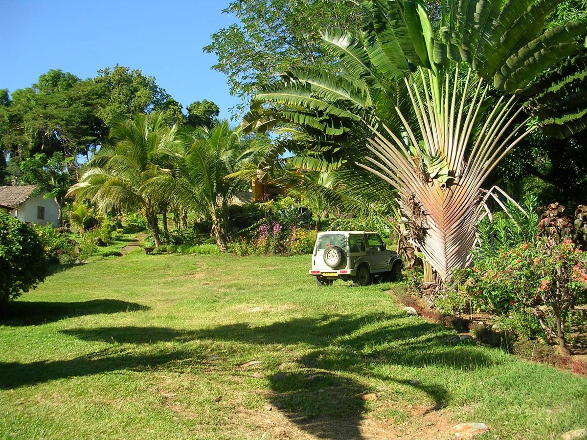 Bed and Breakfast Les Jardins D'Ankify Andimaka Exteriér fotografie