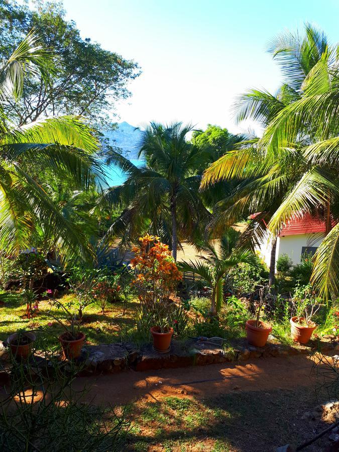 Bed and Breakfast Les Jardins D'Ankify Andimaka Exteriér fotografie